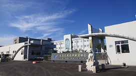 2006年